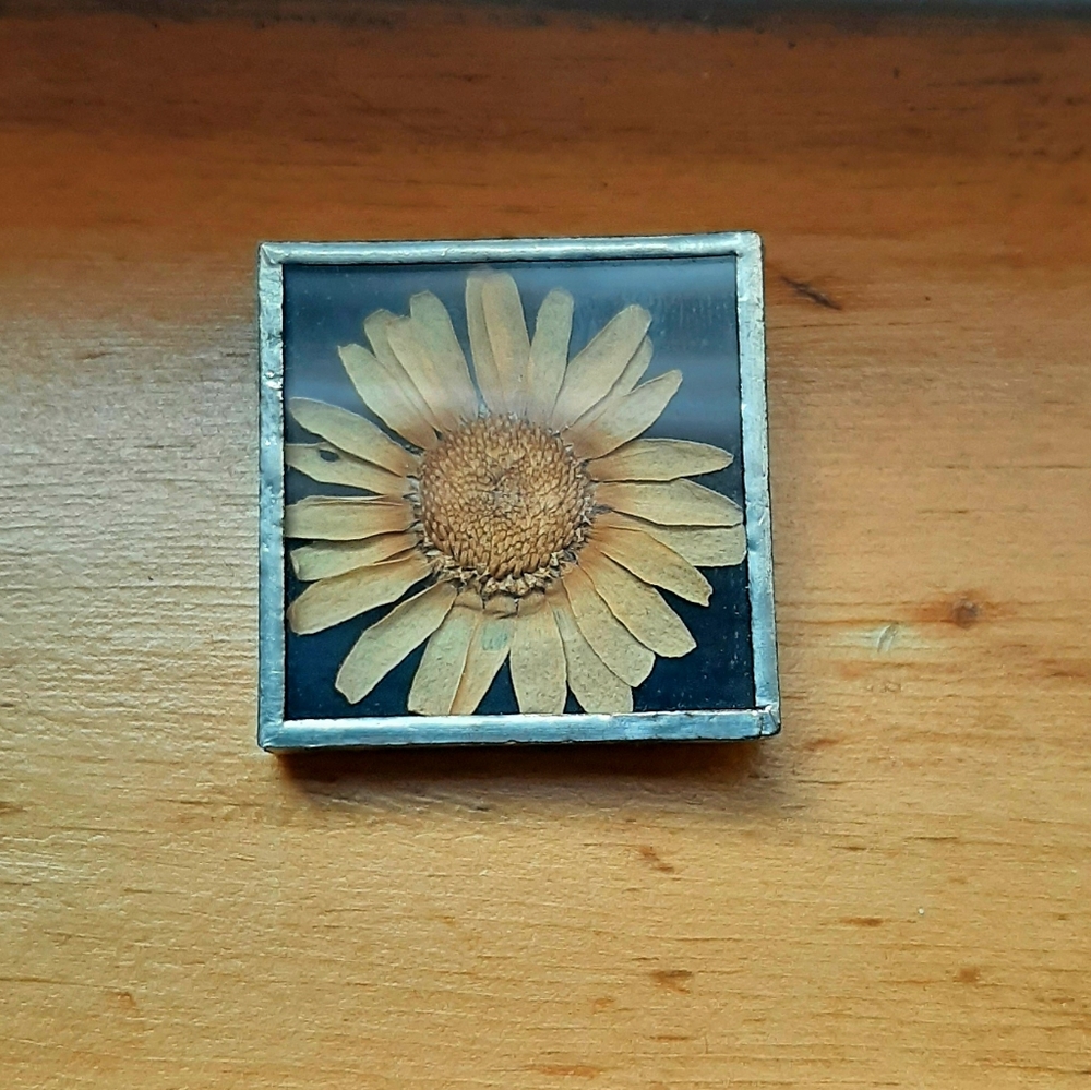 Vintage Handmade Glass Encased Pressed Daisy 1.25" Square Brooch Pin, Signed